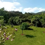 Semesterbostad Con Piscinajardinbarbacoa *