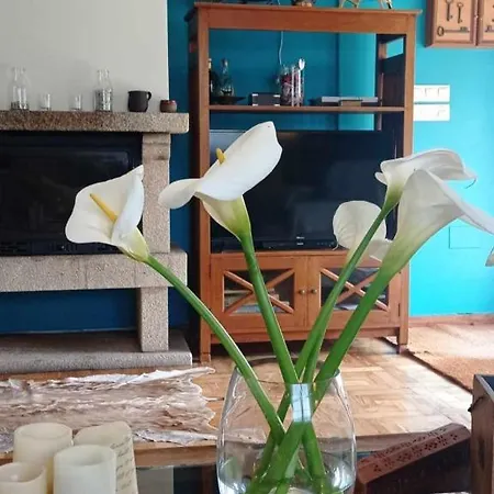 Con Piscinajardinbarbacoa Prázdninový dům *