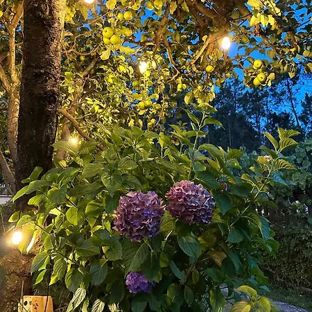 Prázdninový dům Con Piscinajardinbarbacoa *