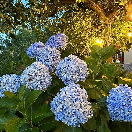Con Piscinajardinbarbacoa *