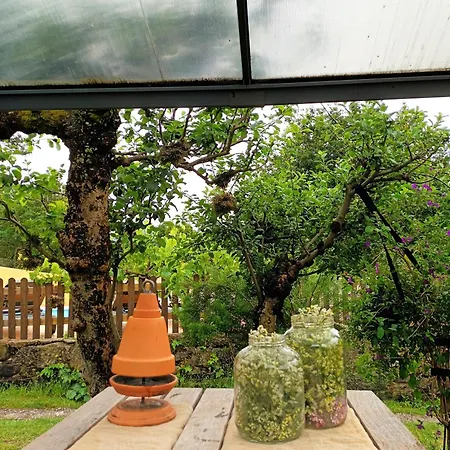 Con Piscinajardinbarbacoa Pontevedra