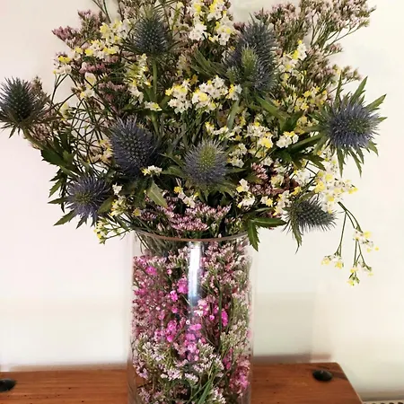 Con Piscinajardinbarbacoa * Pontevedra