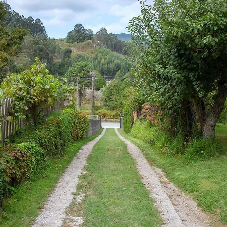 Con Piscinajardinbarbacoa Nyaraló Pontevedra