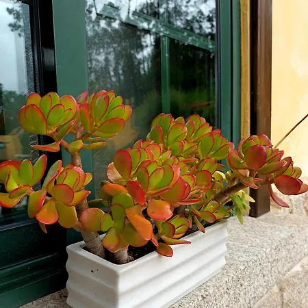 Prázdninový dům Con Piscinajardinbarbacoa Pontevedra