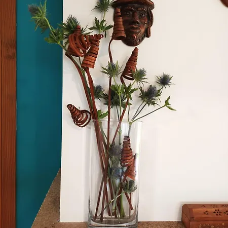 Con Piscinajardinbarbacoa Prázdninový dům *