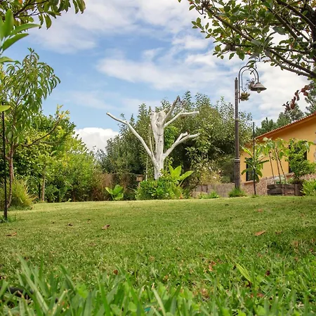 Con Piscinajardinbarbacoa Nyaraló Pontevedra